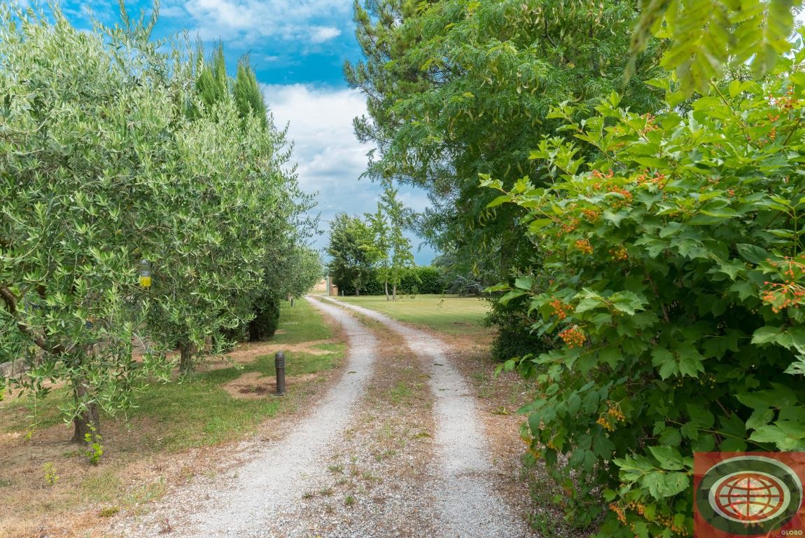 S. Martino in Fiume (IS25): graziosa 